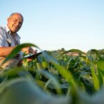 Consulenza per aziende agricole ad Olbia